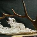 bedded ram